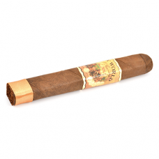 Cигара AJ Fernandez New World Dorado Robusto*10