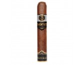 Сигары Rocky Patel  Twentieth Anniversary Maduro Toro/20 (шт.)